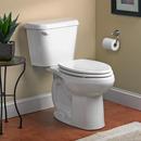 1.6 gpf Elongated Two Piece Toilet in White 