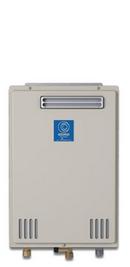State 120 MBH Condensing Tankless Water Heater 
