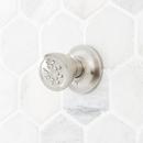 Signature Hardware Brushed Nickel 2 gpm Body Spray 