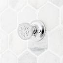 Signature Hardware Polished Chrome 2 gpm Body Spray 