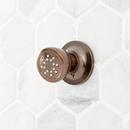 Signature Hardware Oil Rubbed Bronze 2 gpm Body Spray 