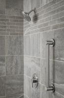 Moen Brushed Nickel Single Lever Handle Trim Valve 