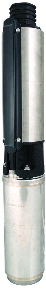 Flint & Walling 4 in. Submersible Pump 