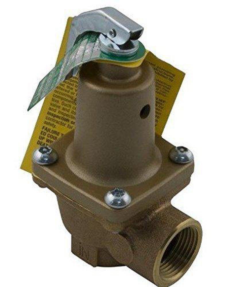 Raypak Brass NPT 125# Relief Valve 