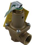 Raypak Brass NPT 125# Relief Valve 