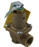 Raypak Brass NPT 125# Relief Valve 