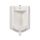 Zurn White Washdown Urinal 