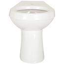 Zurn White Elongated Toilet Bowl 