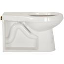 Zurn White Elongated Toilet Bowl 