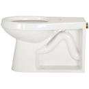 Zurn White Elongated Toilet Bowl 