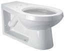 Zurn White Elongated Toilet Bowl 