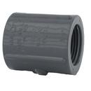 Grey PVC Schedule 80 Threaded Coupling 