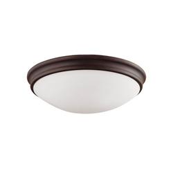 2-Light Flush Mount Ceiling Light in Rubbed Bronze