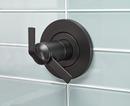 Brizo Chrome Thermostatic Valve Trim 