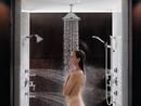 Brizo Luxe Nickel 1/2 x 2-3/8 x 6 in. NPT Solid Brass Shower Arm and Flange 