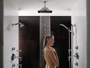 Brizo Luxe Nickel 1/2 x 2-3/8 x 6 in. NPT Solid Brass Shower Arm and Flange 