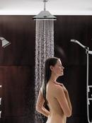 Brizo Luxe Nickel 1/2 x 2-3/8 x 6 in. NPT Solid Brass Shower Arm and Flange 