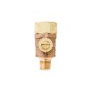 1/8 in. Bronze, Stainless Steel and Brass 175 psi Backflow Preventer