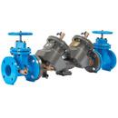 FEBCO Flanged Double Check Valve Assembly 