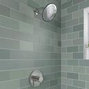 PROFLO&reg; Chrome Single Handle Shower Faucet Trim Kit 