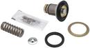 1-1/4 in. Brass, Chrome, Iron, Rubber and Stainless Steel Valve Repair Kit