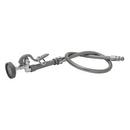 T&S Brass Polished Chrome 49-15/16 x 1/2 in. NPT Male Spray Valve and Flexible Hose 