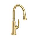 Newport Brass Forever Brass - PVD Single Handle Pull Down Kitchen Faucet 
