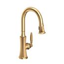 Single Handle Pull Down Kitchen Faucet in Uncoated Polished Brass - Living