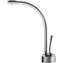 1 gpm 1-Hole Cold Water Dispenser with 9 in. Spout Height and Single Lever Handle in Polished Chrome