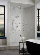 Brizo Brilliance&reg; Polished Nickel 1/2 in. NPT x IPS Solid Brass Shower Arm and Flange 