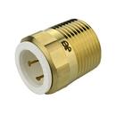 1/2 x 3/4 in. CTS x NPT Brass Male Connector