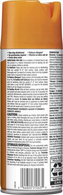 Clorox Clear Disinfectant Sanitizer Cleaner in Clear 