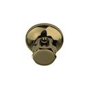 Thermasol Satin Brass OLD STYLE Steam HD Deluxe 1/2 SB 