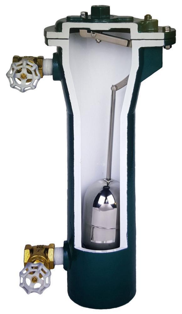 Crispin-Multiplex NPT Cast Iron 300 psi Air Release Valve 