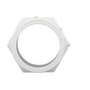 White PVC DWV Cleanout Tee with Plug 