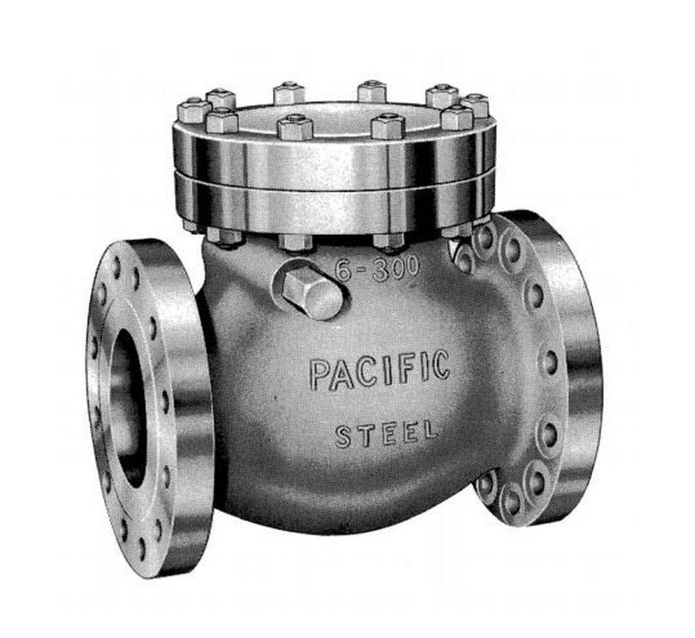 Pacific Valves Cast Steel Flanged Swing Check Valve 