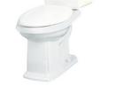 Elongated ADA Toilet Bowl in White
