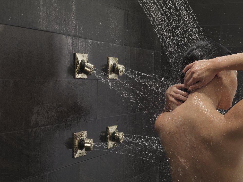 Delta Faucet Polished Nickel Single Function Body Spray 