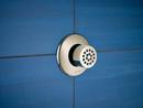 Brizo Brushed Nickel 1.5 gpm Touch Clean Body Spray Sprayhead 
