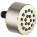 1.5 gpm Touch Clean Body Spray Sprayhead in Brilliance Brushed Nickel