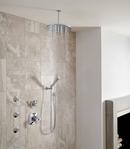 Delta Faucet Brilliance Champagne Bronze Single Function Body Spray 