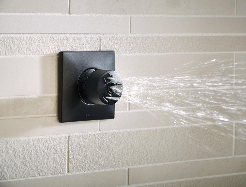 Brizo Matte Black Single Function Body Spray 