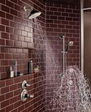 Brizo Luxe Nickel 1.5 gpm Body Spray Trim (Trim Only) 