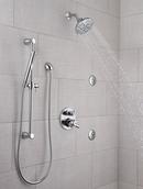 Delta Faucet Chrome Single Function Body Spray 