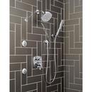 Delta Faucet Chrome Single Function Body Spray 