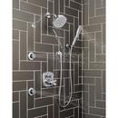 Delta Faucet Chrome Single Function Body Spray 