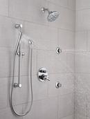 Delta Faucet Chrome Single Function Body Spray 