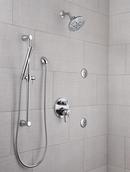 Delta Faucet Chrome Round Body Spray Trim (Trim Only) 