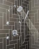 Delta Faucet Chrome Single Function Body Spray 