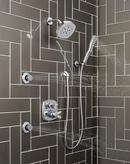 Delta Faucet Chrome Single Function Body Spray 